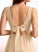 Fabric Embellishment Silhouette Length Neckline Floor-Length Sequins A-Line V-neck Laurel A-Line/Princess Straps