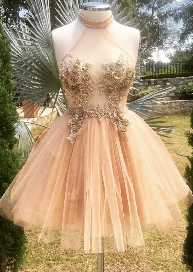 Champagne High Neck Tulle Short Dress Tulle Formal Dress Kyleigh Lace Homecoming Dresses 12654