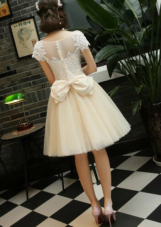 Light Champagne Tulle Short Party Dress Applique With Homecoming Dresses Lace Morgan Beadings 13078