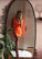 Orange Chaya Homecoming Dresses Short 13454