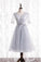 Silver A-Line Short Party Dress Birthday Dress With Short Sleeves Homecoming Dresses Carissa 20247