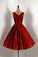 Rayne Homecoming Dresses Elegant Short 23645